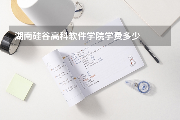 湖南硅谷高科软件学院学费多少